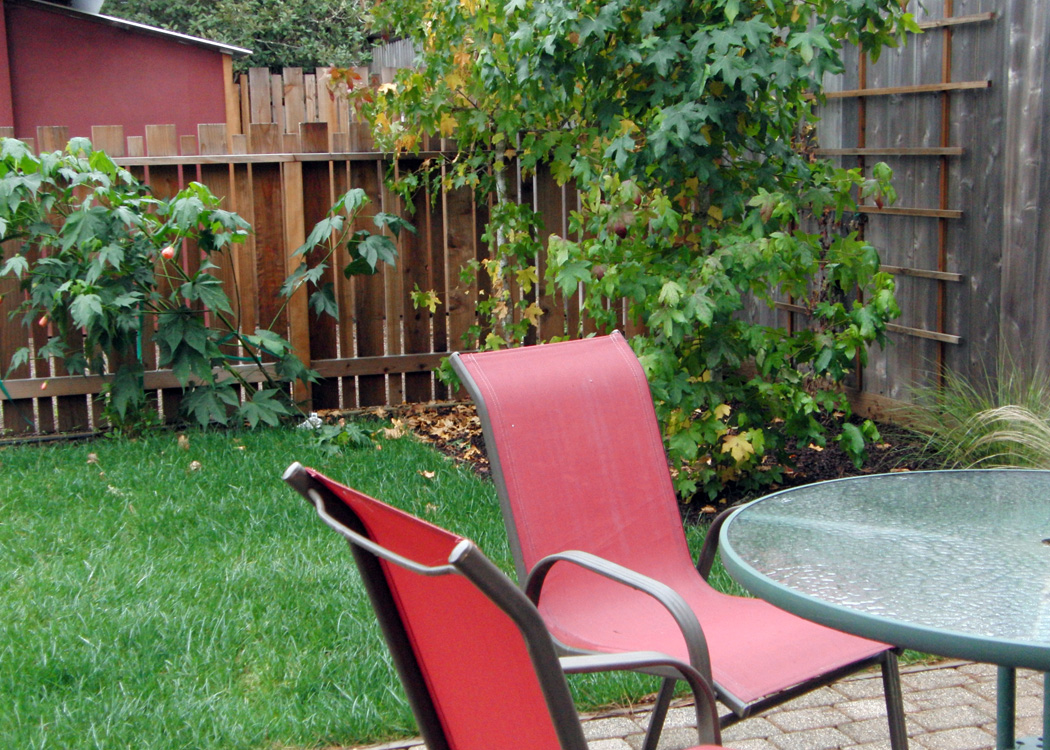 Mendocino Vacation Rental Red Barn Retreat Patio View