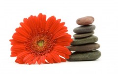 spa treatments at the Red Barn Retreat